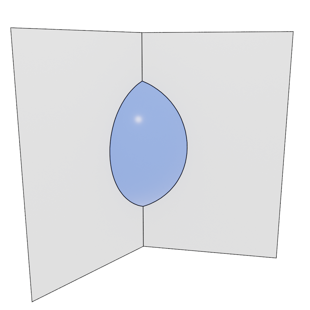 Precipitate shape on a grain edge