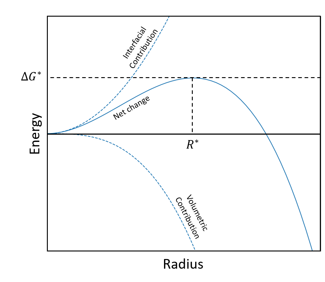 Free energy contributions of a nucleate